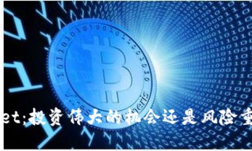 TokenPocket：投资伟大的机会还是风险重重的陷阱？